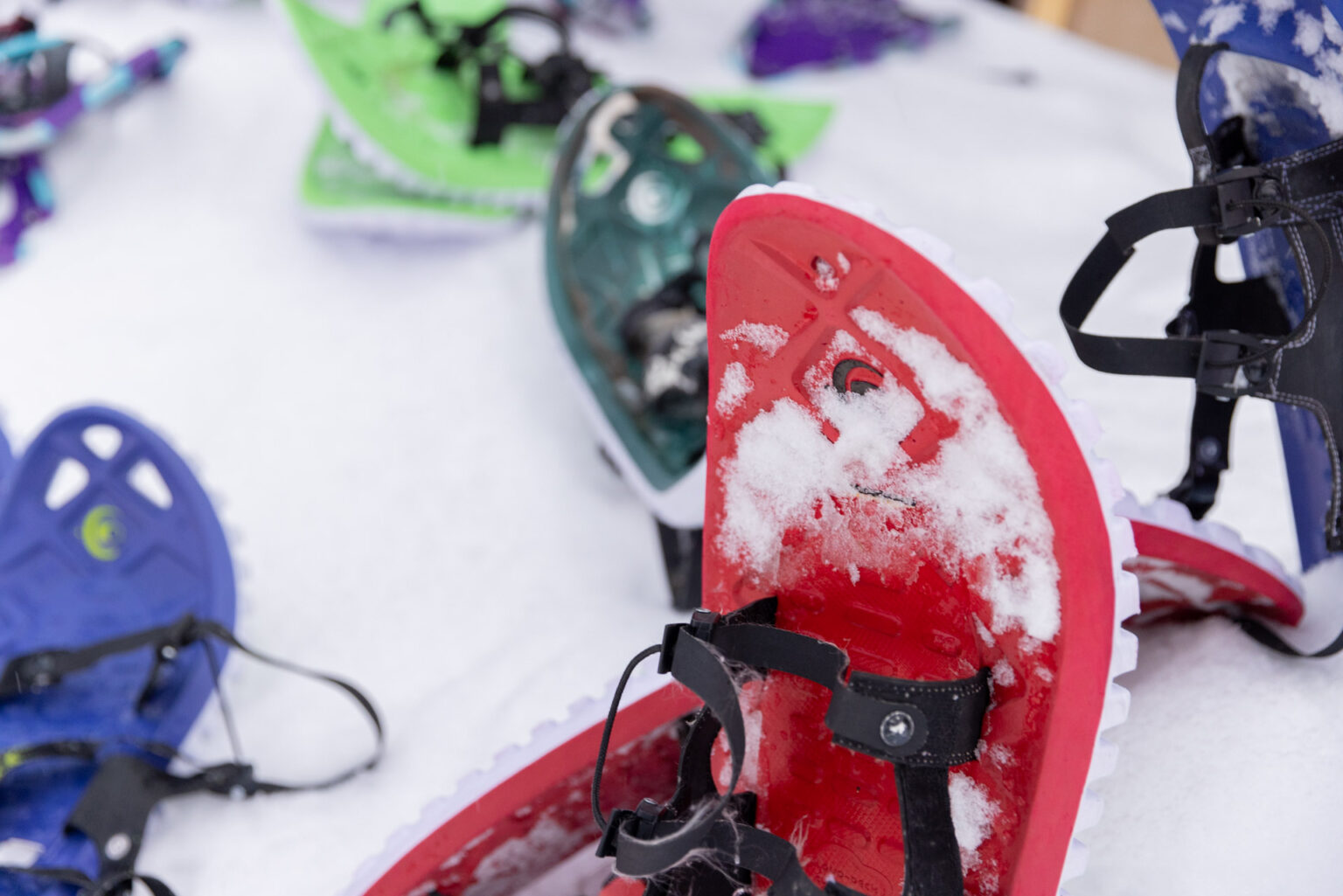 SelfGuided Snowshoe Trials Breckenridge Nordic Center
