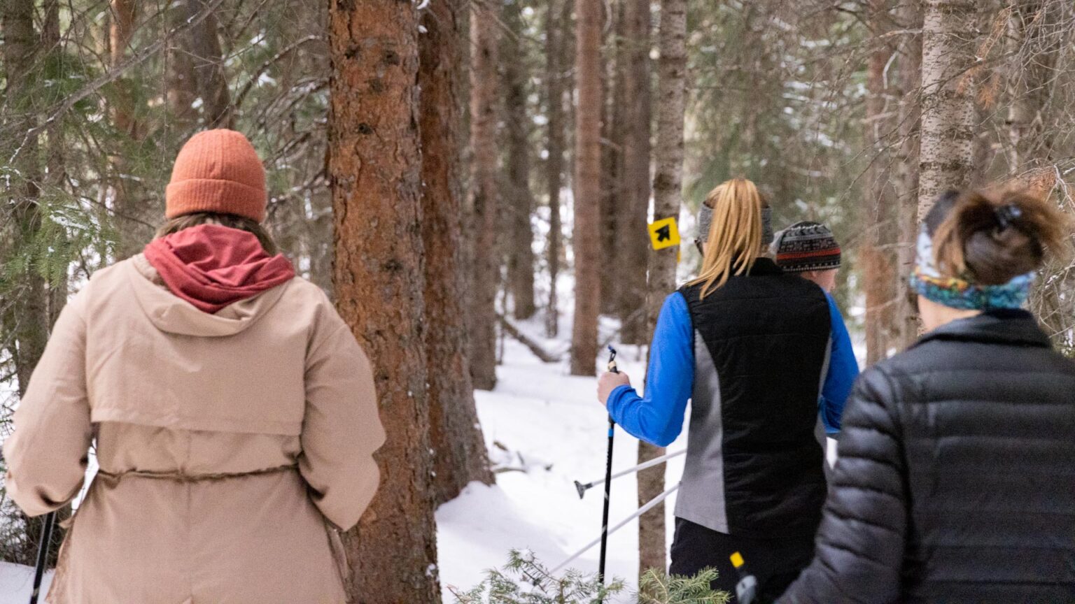 Group Guided Snowshoeing Breckenridge Nordic Center