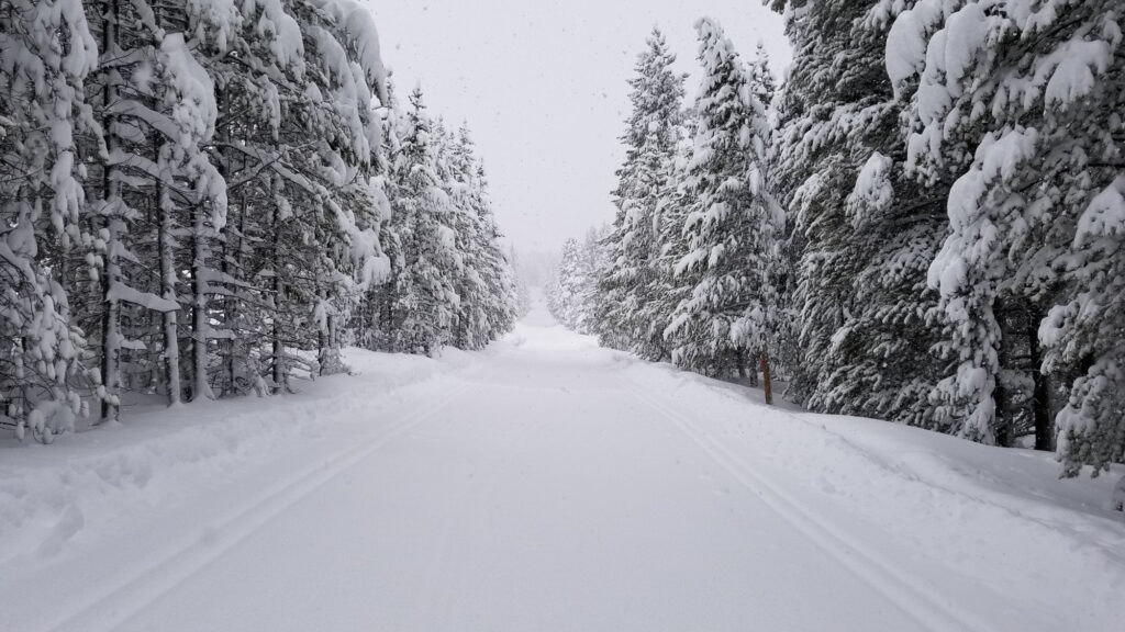 snowcat tours breckenridge